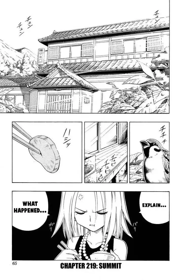 Shaman King Chapter 219 1